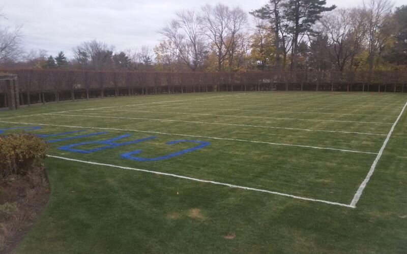 A field with trees in the background and a white line on it.