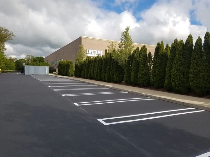 A parking lot with many trees and bushes